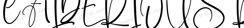 CALDERIOUS Regular字体转换